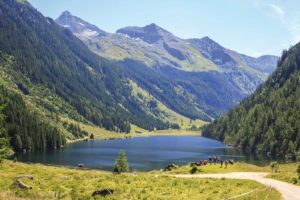 Mehr über den Artikel erfahren Schladming – Hotspot der Dachsteinregion