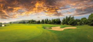Mehr über den Artikel erfahren Vieles spricht für Golf
