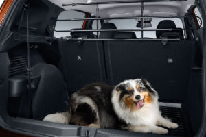 opel_frontera_zubehoer_gepaeckgitter